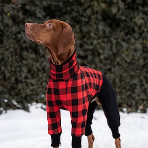 90% cotton - Jumpsuit for Vizsla - dog clothes - RED/BLACK