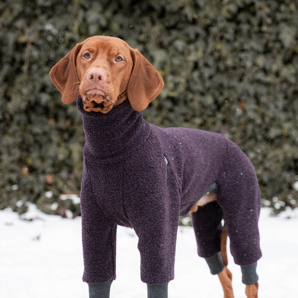 42% wool - Jumpsuit for Vizsla - dog clothes - Purple