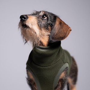Pull en polaire PRO pour teckel – pull pour chien saucisse, vêtements pour teckel, kaki