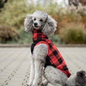90% cotton - Sweatshirt for Dog - dog clothes - RED/BLACK