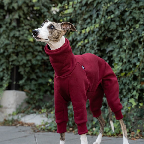Maroon Premium Jumpsuit for Whippet - Excellent Protection and Exquisite Style in One. Whippet clothing