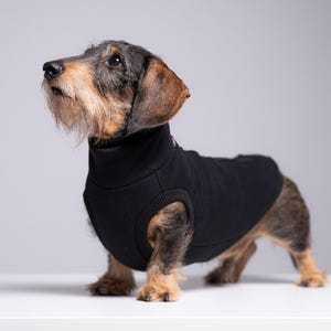 90% Cotton Dachshund Jumper – Sausage Dog Sweater, Doxie Clothes, Black