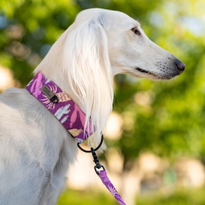 Brede martingaalhalsbanden voor grote honden, handgemaakte designer hondenhalsband, patroonhalsbanden met gratis verzending, beste cadeau voor hond - Bonita