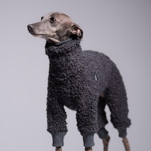 75% Wool Italian Greyhound Jumpsuit – Iggy dog Overall, iggy clothes, Graphite