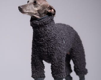 75% Wool Italian Greyhound Jumpsuit – Iggy dog Overall, iggy clothes, Graphite