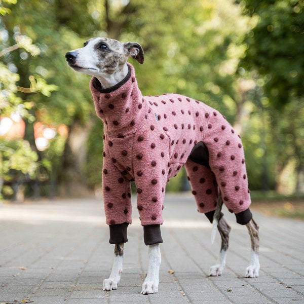 25% wool! Premium Jumpsuit for Whippet - Excellent Protection and Exquisite Style in One. Whippet clothing