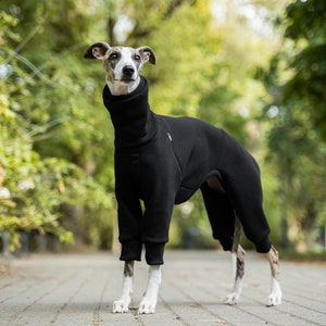 90% coton Combinaison pour Whippet vêtements pour whippet Noir image 1