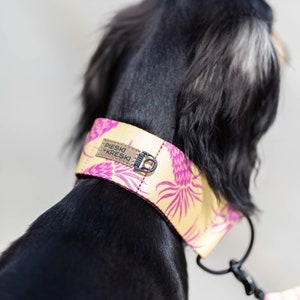 Brede martingaalhalsbanden voor grote honden, handgemaakte designer hondenhalsband, patroonhalsbanden met gratis verzending - Bonita (eenvoudig)