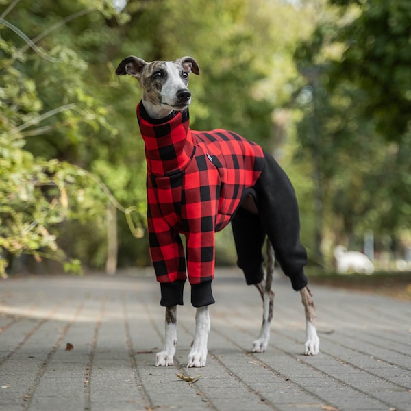 90% cotton - Jumpsuit for Whippet - whippet clothes - RED/BLACK