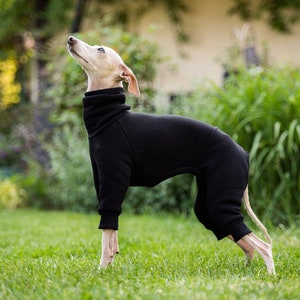 90% cotton Best italian greyhound clothing , comfortable Jumpsuit for iggy Black image 3