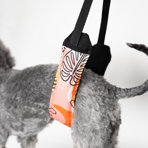 Happy strap dog grooming sales