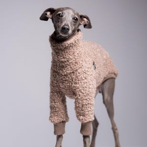 75% Wool Italian Greyhound Clothing – Iggy Jumper with Sleeves, Beige