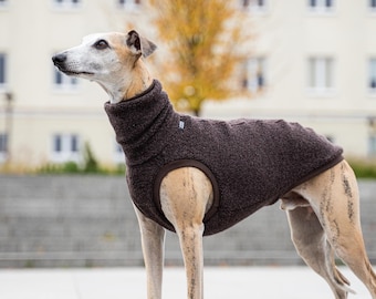 Chocolate Wool sweatshirt for Whippet & Iggy, whippet clothing, pet accessories, spring/winter dog clothes