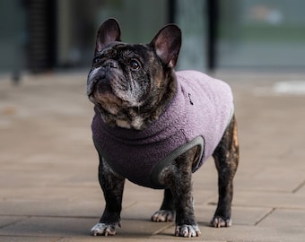 42% wool - Sweatshirt for Frenchie - french bulldog clothes - PURPLE