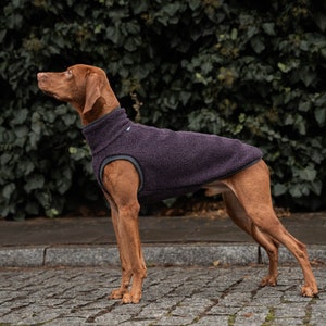 42% wool Sweatshirt for Vizsla dog clothes PURPLE image 3