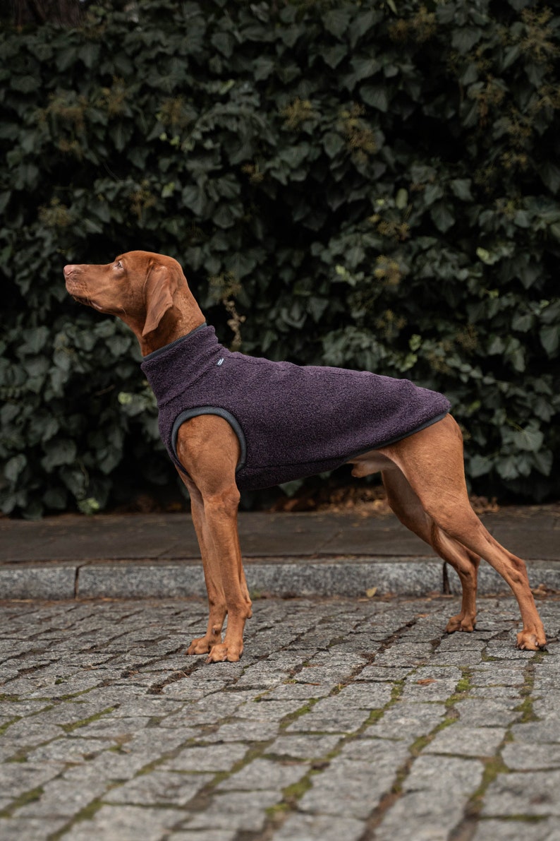 42% wool Sweatshirt for Vizsla dog clothes PURPLE image 3