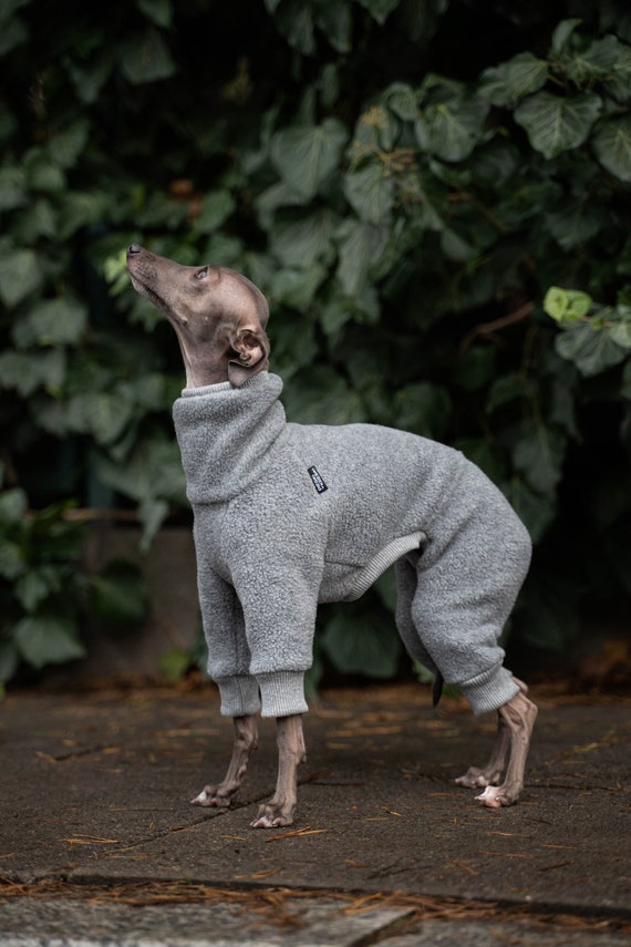 Italian Greyhound Umbrella - Semi Automatic Italian Greyhound Umbrella - Semi Automatic