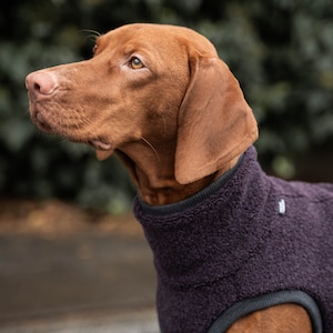 42% wool Sweatshirt for Vizsla dog clothes PURPLE image 2