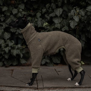 42% wool Jumpsuit for Whippet whippet clothes KHAKI image 4