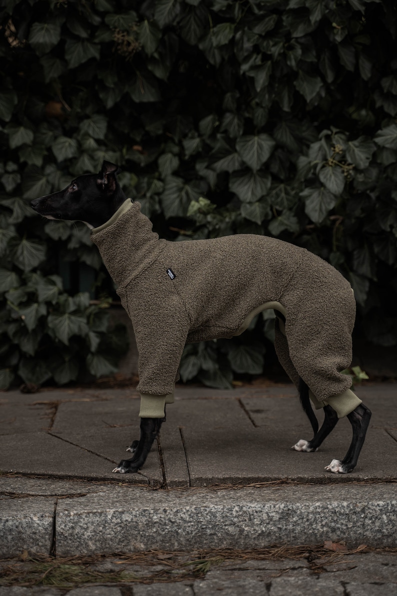 42% wool Jumpsuit for Whippet whippet clothes KHAKI image 4