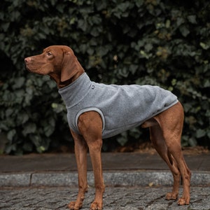 Fleece PRO Sweatshirt for Vizsla dog clothes Grey image 7