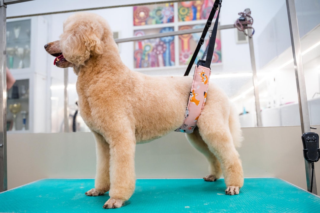 Pink Dog Grooming Belly Strap, Grooming Belt, Doog Etsy