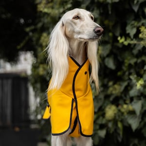 Waterproof Softshell Jacket with Reflectors Stylish Protection for big sighthound. Saluki, sloughi, galgo image 4