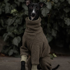 42% wool Jumpsuit for Whippet whippet clothes KHAKI image 5