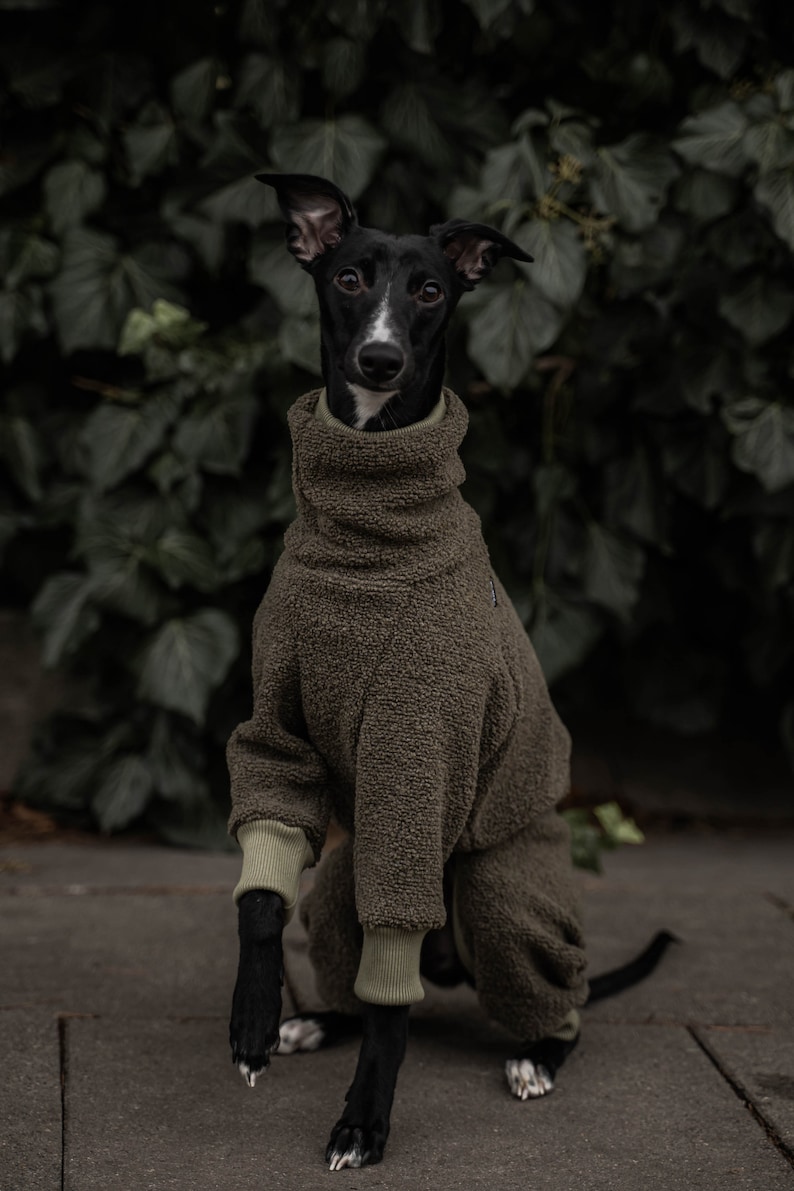 42% wool Jumpsuit for Whippet whippet clothes KHAKI image 5