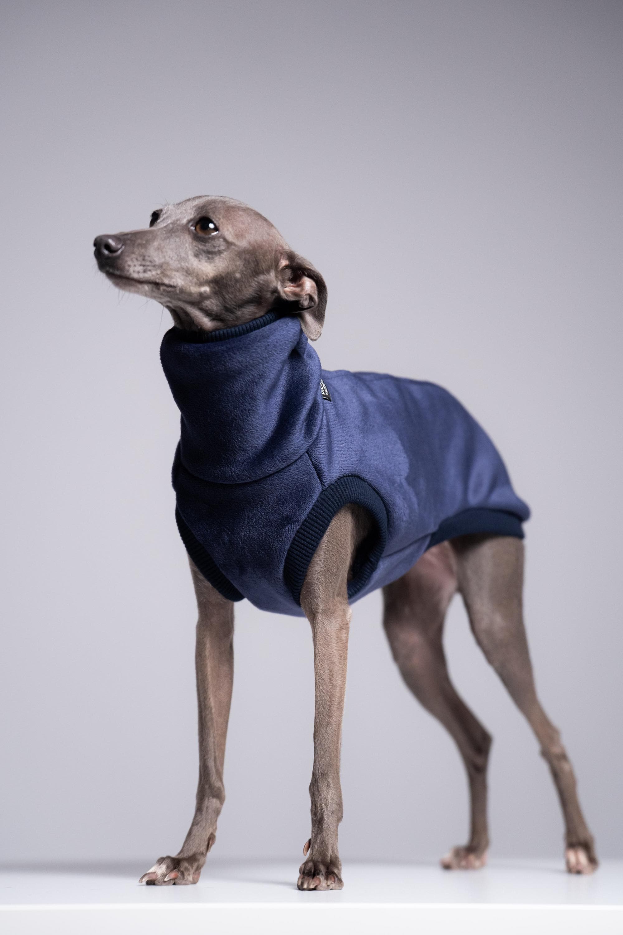 Velvet Fleece Iggy Jumper – Italian Greyhound Clothing, Navy Blue