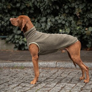 42% Wolle Sweatshirt für Vizsla Hundebekleidung Khaki Bild 5