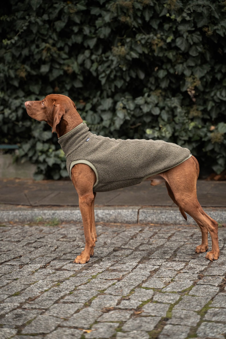 42% Wolle Sweatshirt für Vizsla Hundebekleidung Khaki Bild 5