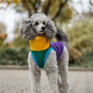 90% cotton Sweatshirt for Dog dog clothes COLORFUL image 4