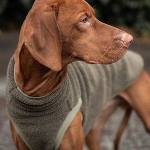 42% Wolle Sweatshirt für Vizsla Hundebekleidung Khaki Bild 6