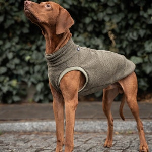 42% Wolle Sweatshirt für Vizsla Hundebekleidung Khaki Bild 4