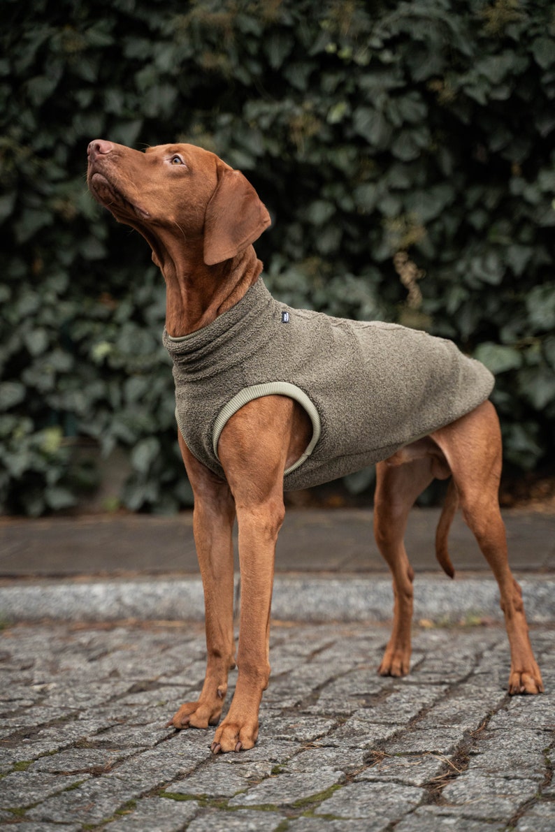 42% Wolle Sweatshirt für Vizsla Hundebekleidung Khaki Bild 4