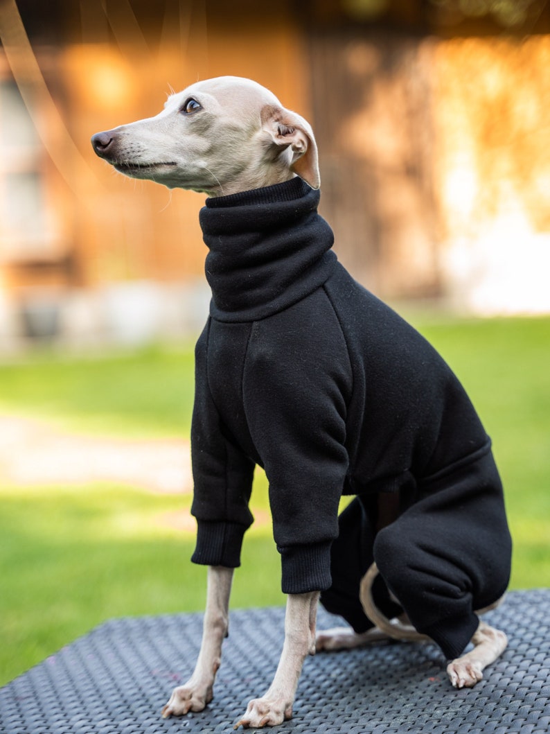 90% cotton Best italian greyhound clothing , comfortable Jumpsuit for iggy Black image 5