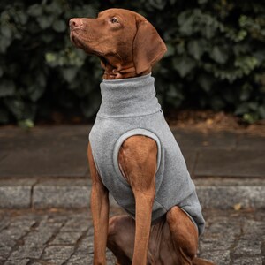 Fleece PRO Sweatshirt für Vizsla Hundebekleidung Grau Bild 2