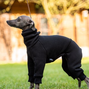 90% cotton Best italian greyhound clothing , comfortable Jumpsuit for iggy Black image 6