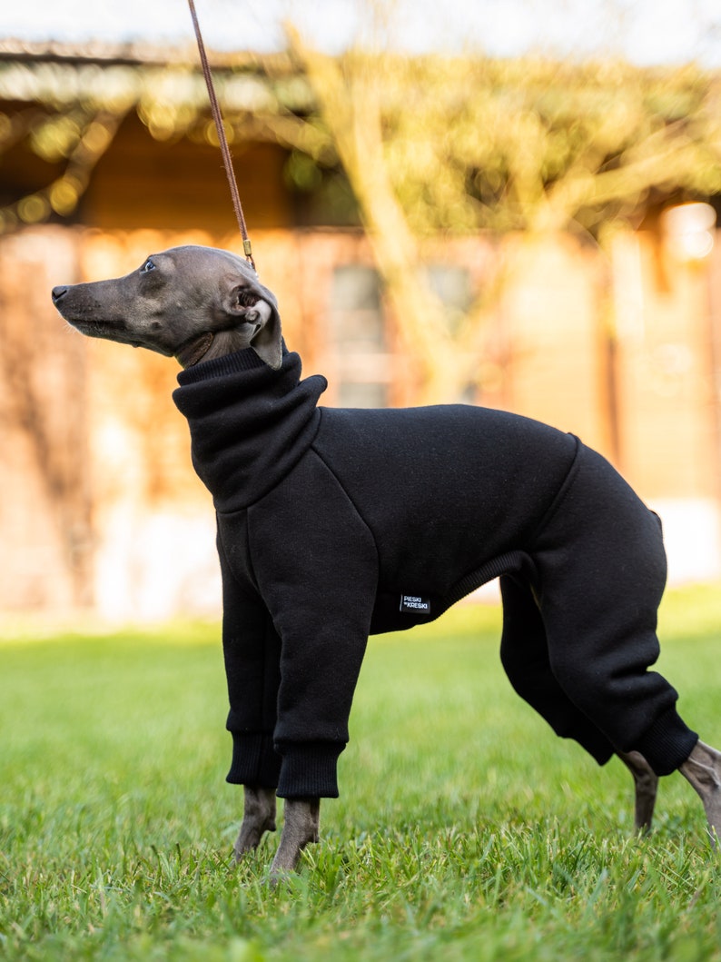 90% cotton Best italian greyhound clothing , comfortable Jumpsuit for iggy Black image 6