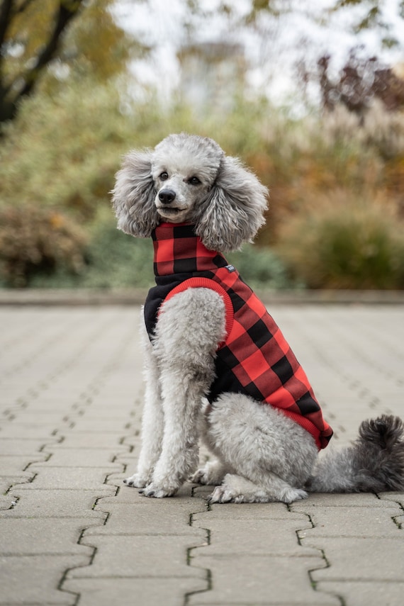 Standard Poodle Poodle Dog Clothes Discount Standard Poodle