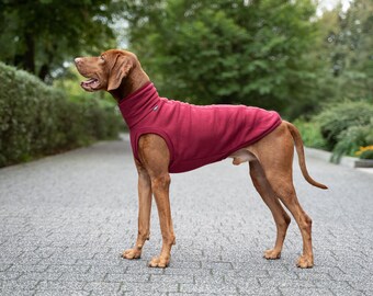 90% Cotton Comfortable Sweatshirt for Vizsla Clothes for Big - Main Image