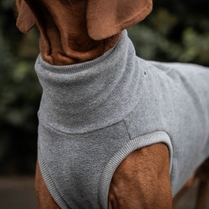 Fleece PRO Sweatshirt für Vizsla Hundebekleidung Grau Bild 4