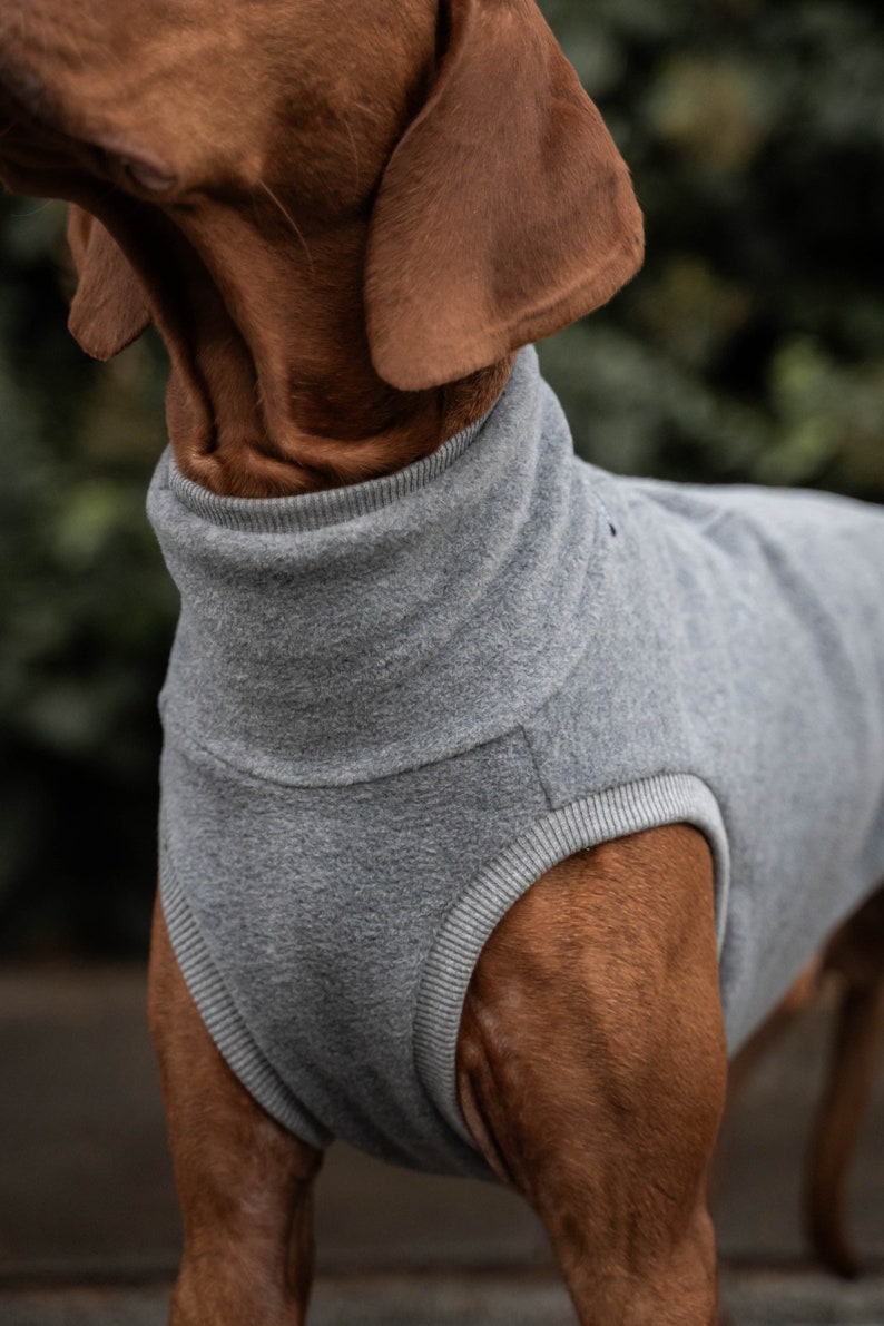 Fleece PRO Sweatshirt für Vizsla Hundebekleidung Grau Bild 4