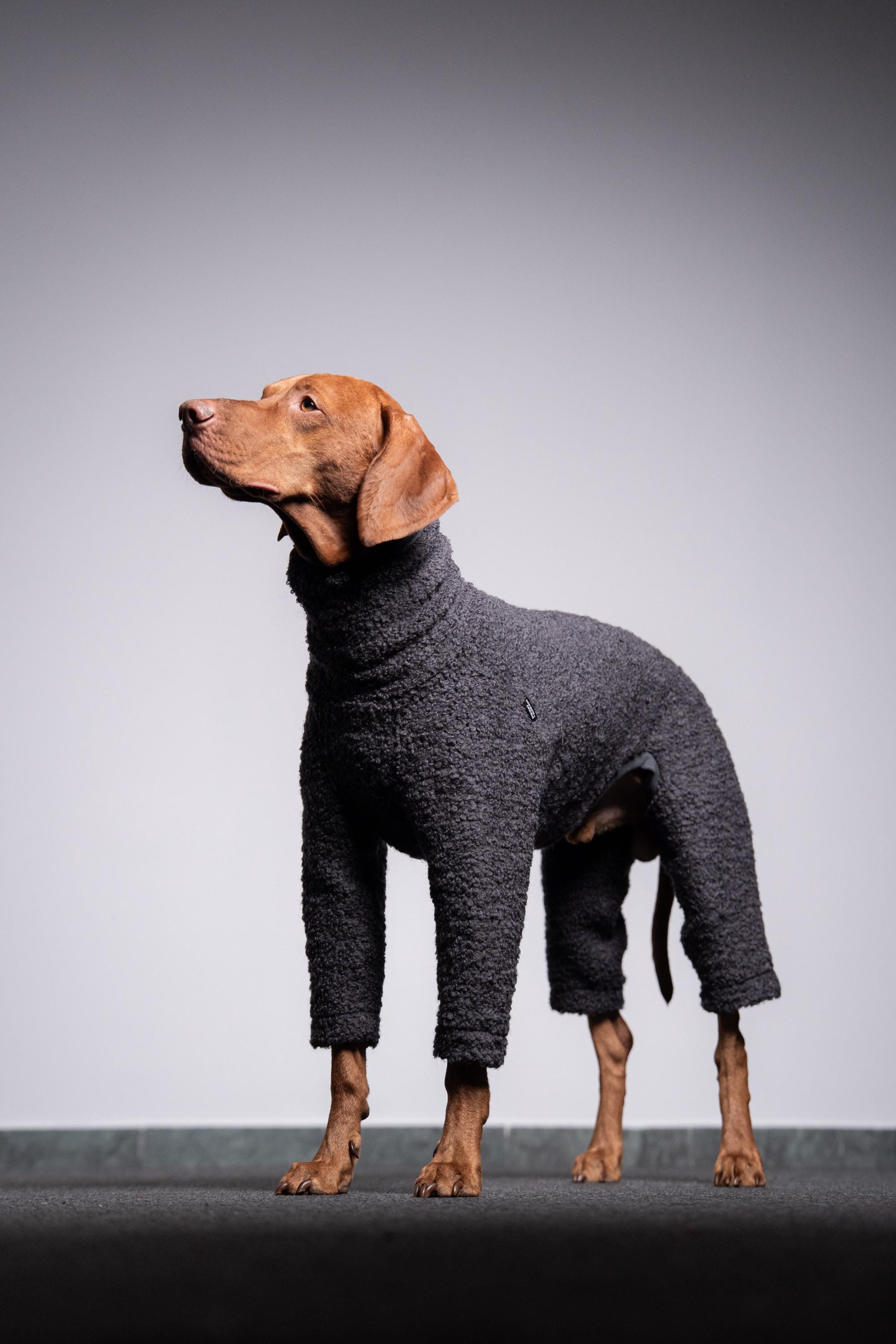 Ridgeback hundemantel - Etsy.de