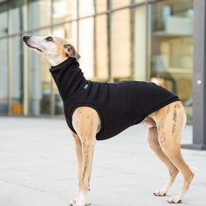 90% cotton Sweatshirt for Whippet whippet clothes BLACK image 2