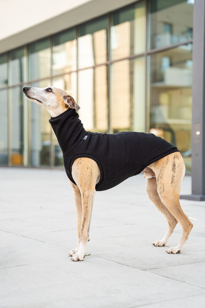 90% cotton Sweatshirt for Whippet whippet clothes BLACK image 2