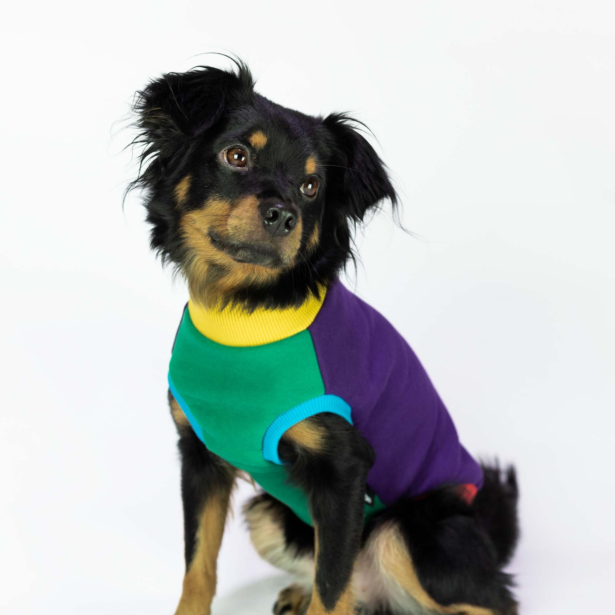 Verrückter Hund Hoodie Pieski w Kreski Hund Hoodie Etsy