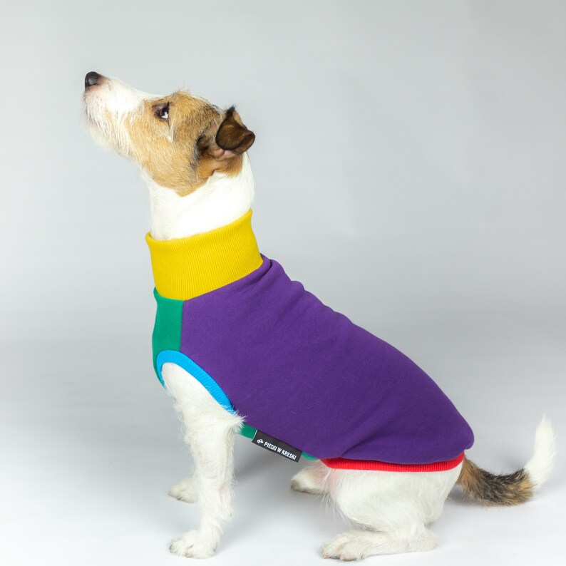 Verrückter Hund Hoodie Pieski w Kreski Hund Hoodie Etsy