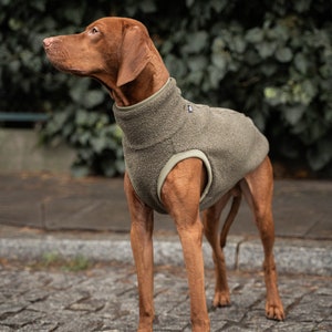 42% Wolle Sweatshirt für Vizsla Hundebekleidung Khaki Bild 3